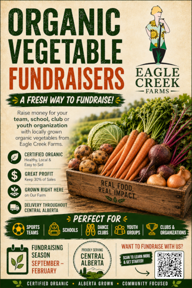 fundraiser posterweb